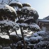 2012 12 25 09.53.44 thumb